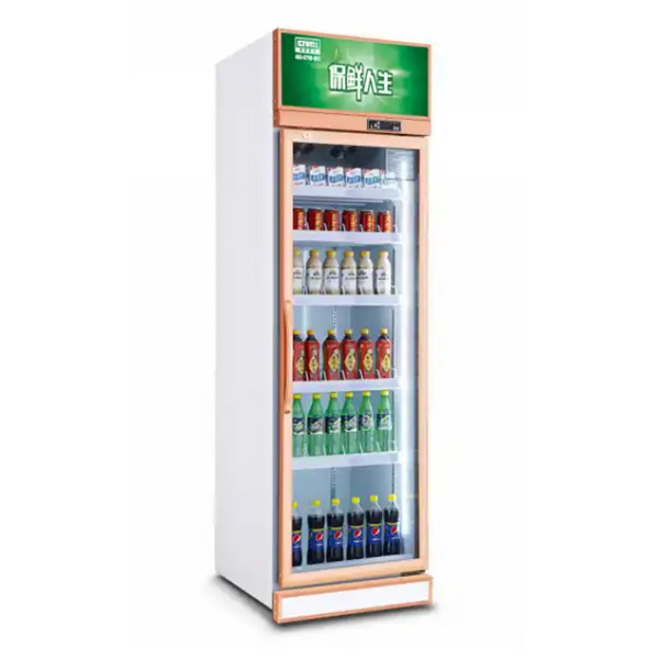 363L SC363 Upright Beverage Commercial Shop Showcase Display Cooler Fridge Chiller Refrigerator