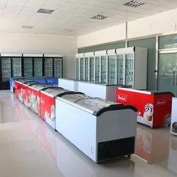 220-720L Commercial Ice Cream Curved Merchandiser Glass Door Mini Chest Freezer for Supermarket Retail Store